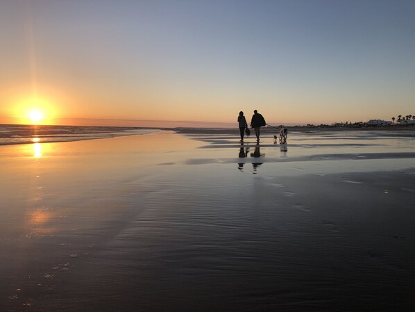 Een zonsondergang aan het strand, met rustig water en silhouetten van mensen en een hond.