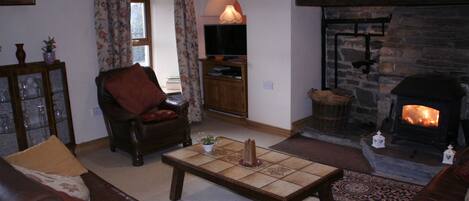 TV, fireplace, DVD player, books