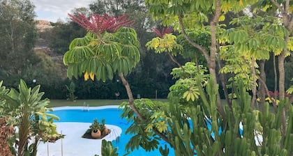 Appartement merveilleusement lumineux avec terrasse et balcons privés sur le toit, Wi-Fi av