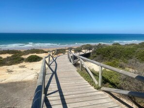 Playa en los alrededores y camastros 