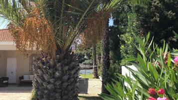 Áreas de la propiedad