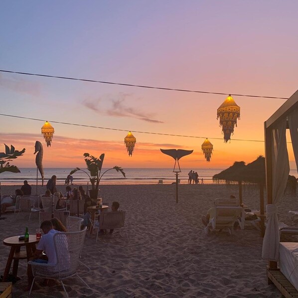 بالقرب من الشاطئ، كراسي للتشمس