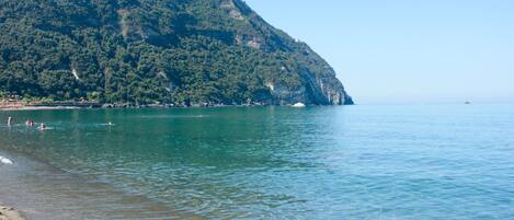Plage, chaises longues
