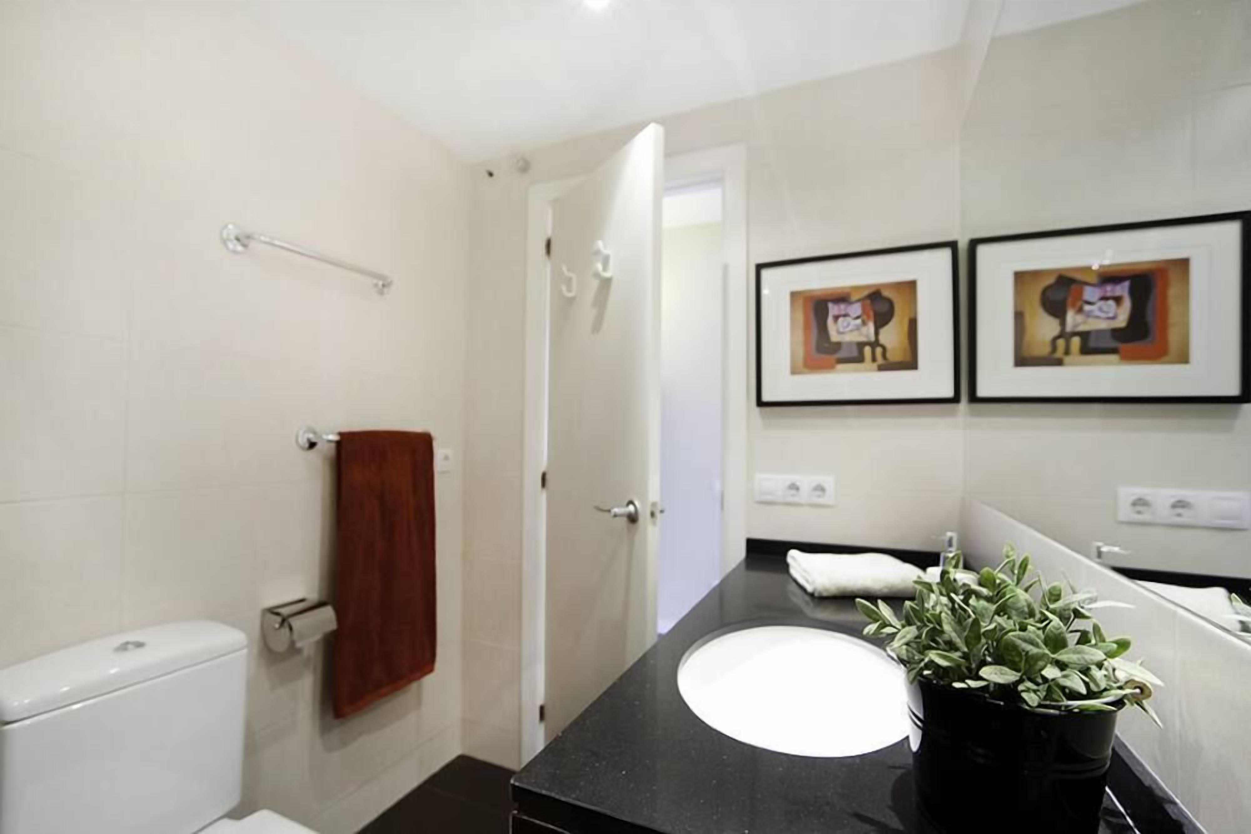 Un baño moderno con encimera negra, lavabo blanco y una planta en maceta.