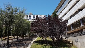 A modern building with a staircase leading to a flat roof, surrounded by trees and a grassy area. - Property with parking, Ac,wifi, metro & at only 8 min.from city centre by metro. (Barcelona)