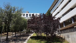 Terrain de l’hébergement 