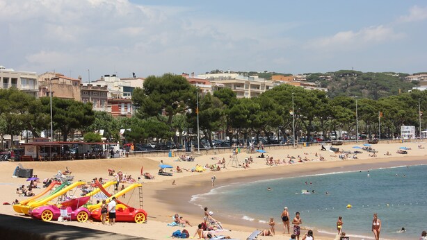 Une plage avec un rivage sablonneux, un ciel dégagé et des bâtiments en arrière-plan.