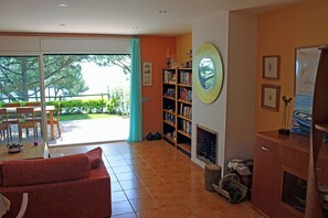 TV connectée, cheminée, lecteur de DVD, livres
