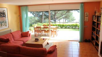 Smart TV, chimenea, reproductor de DVD y libros