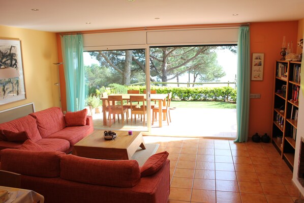 Smart TV, fireplace, DVD player, books