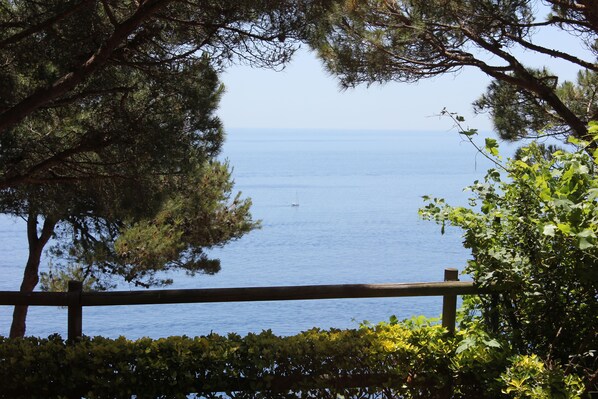 Une vue sur la mer, encadrée par une balustrade en bois, avec des arbres et des arbustes au premier plan.