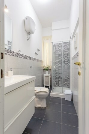 Shower, hair dryer, bidet, towels