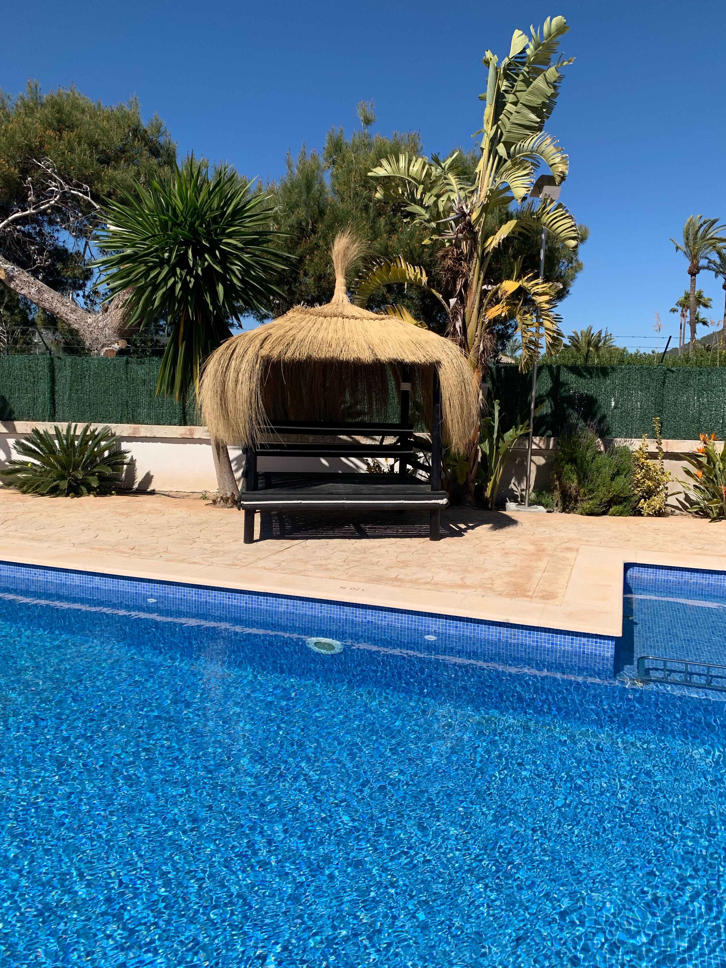 Ein Swimmingpool mit einer Reetdachkonstruktion und Bänken, umgeben von tropischen Pflanzen und blauem Himmel.