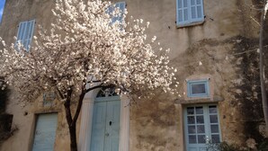 A building with blue shutters, a stone wall, and a tree with white blossoms. - Pigna: Charming village house, 5 km from the sea, vaulted and whitewashed (Pigna)