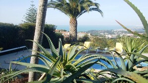 Zona de piscina con plantas de aloe en primer plano, una palmera y vista al mar y edificios en el fondo.