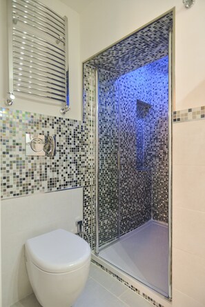 Combined shower/tub, hair dryer, bidet, towels
