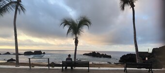 Superb apartment with swimming pool in renovated complex and pets welcome!