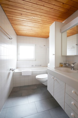 Superior Apartment | Bathroom | Hair dryer, towels