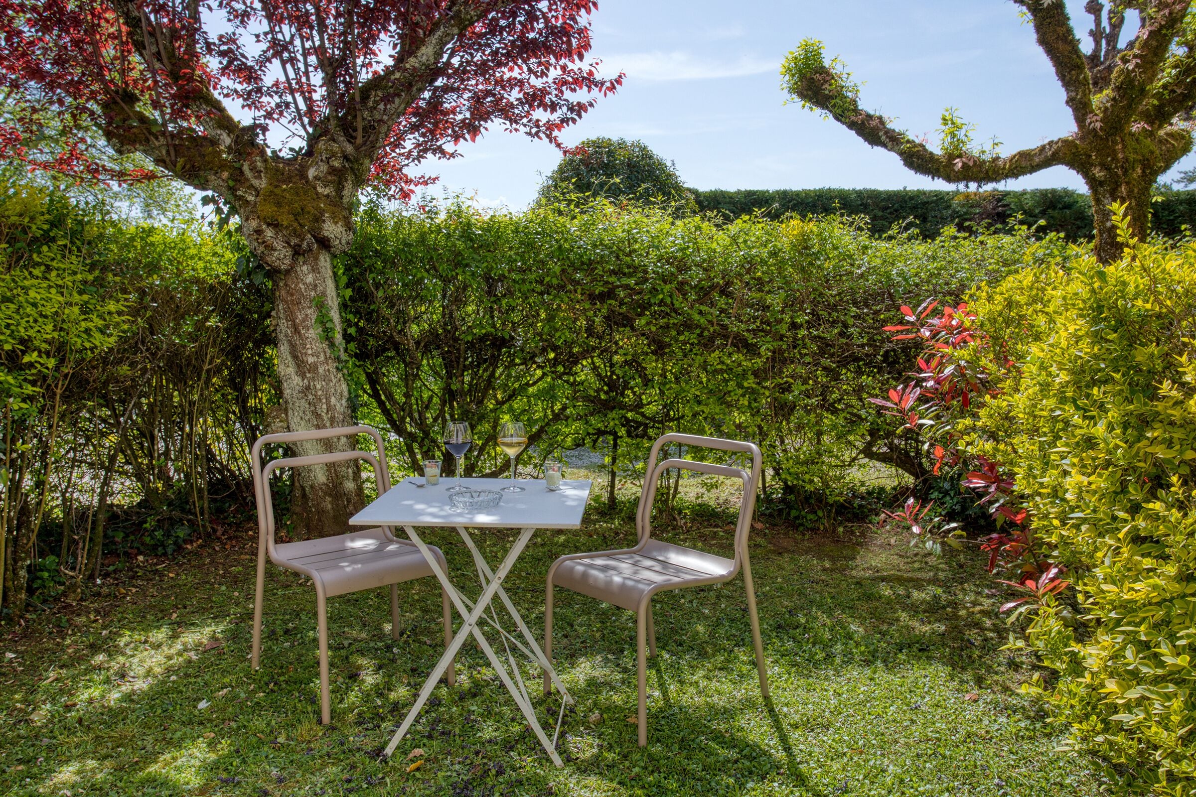 An outdoor seating area with a table and two chairs, surrounded by lush greenery and trees.