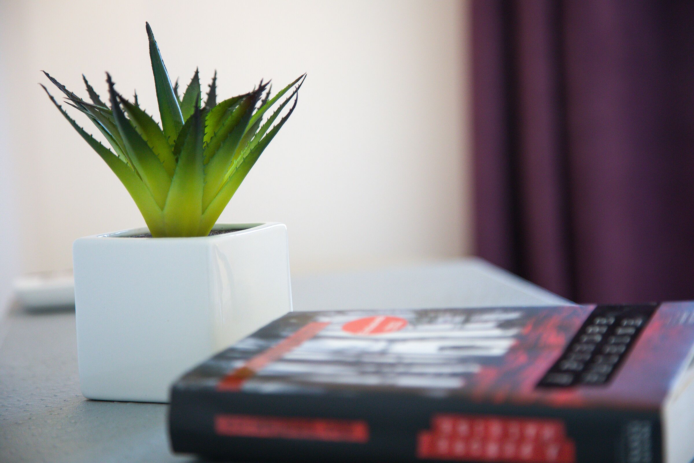 Foto - Hôtel & restaurant Le Meysset