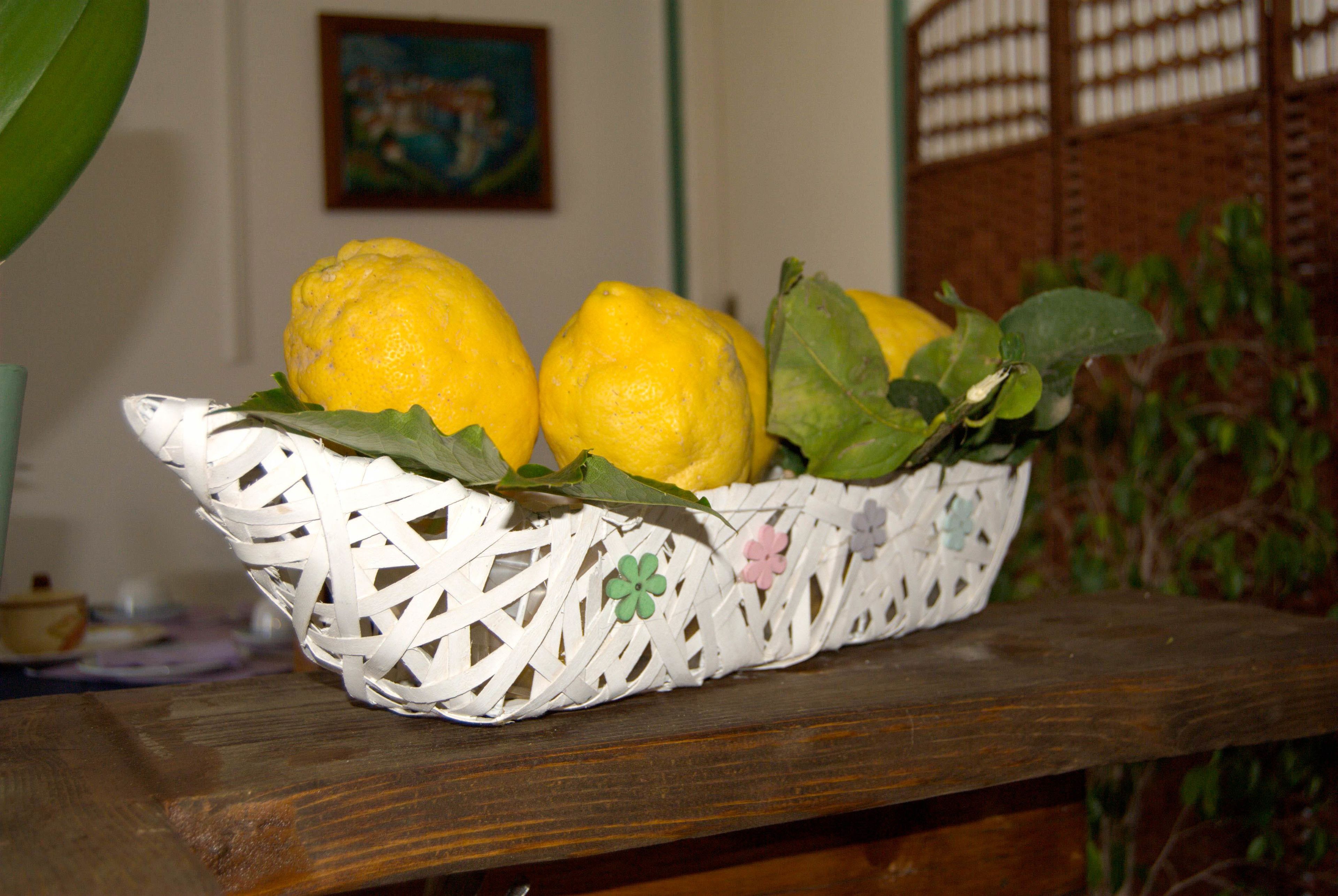 Foto - Villa Raffaela - Appartamenti Lacco Ameno