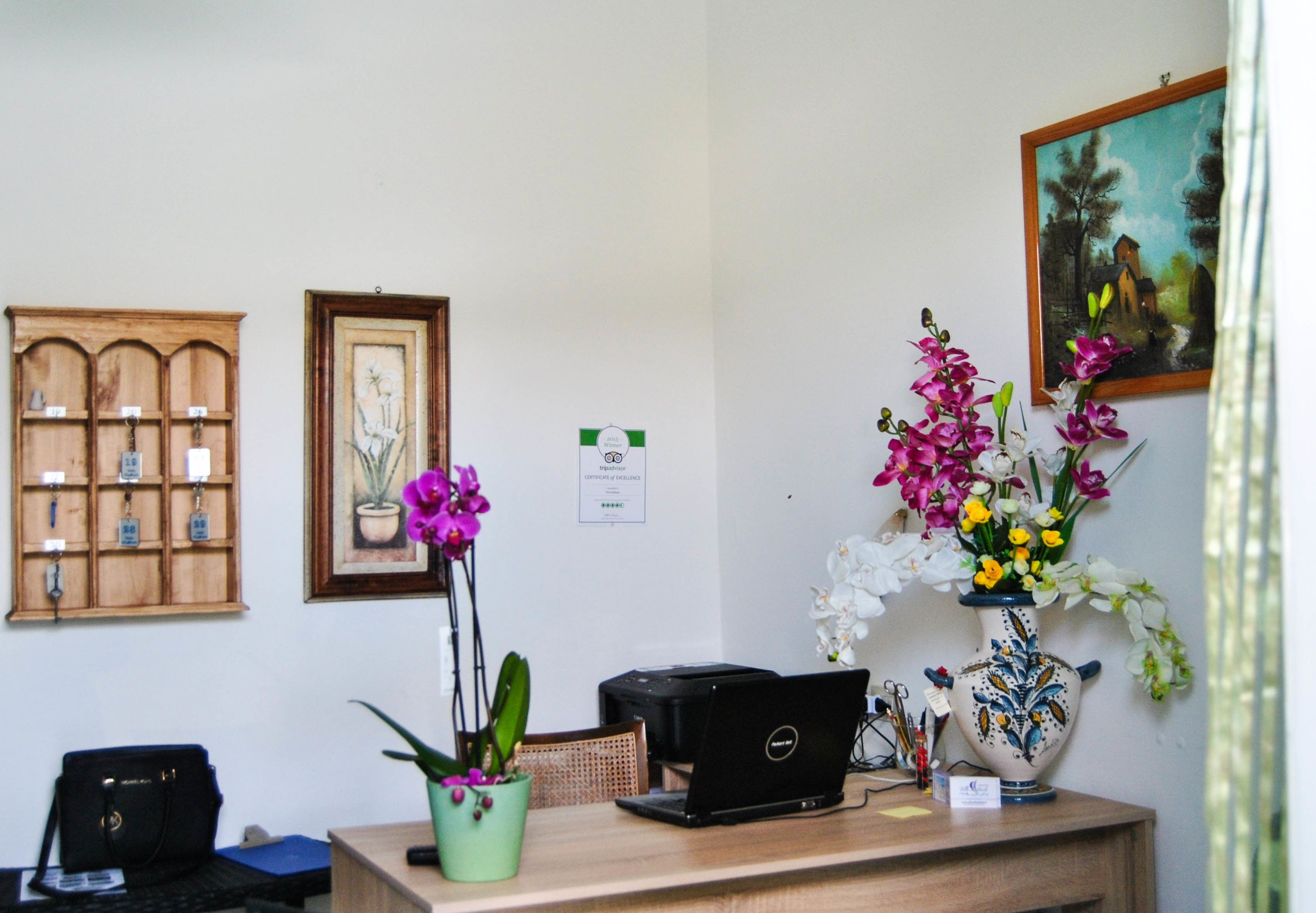 Foto - Villa Raffaela - Appartamenti Lacco Ameno