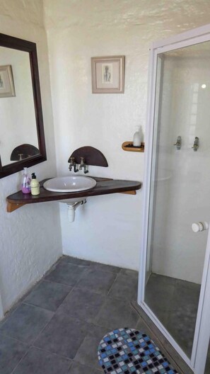 A bathroom with a white sink, dark wooden countertop, a mirror, a framed picture on the wall, and a shower with a glass door. - Alternative Space B & B (Swakopmund)