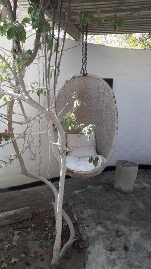 A hanging wicker swing chair with a cushion, a tree with green leaves, and a concrete floor. - Alternative Space B & B (Swakopmund)