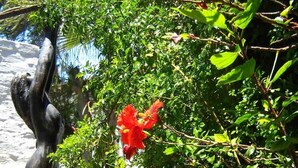 A statue of a person reaching towards the sky, surrounded by lush greenery and red flowers. - Alternative Space B & B (Swakopmund)