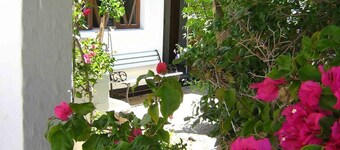 Alternative Space B & B