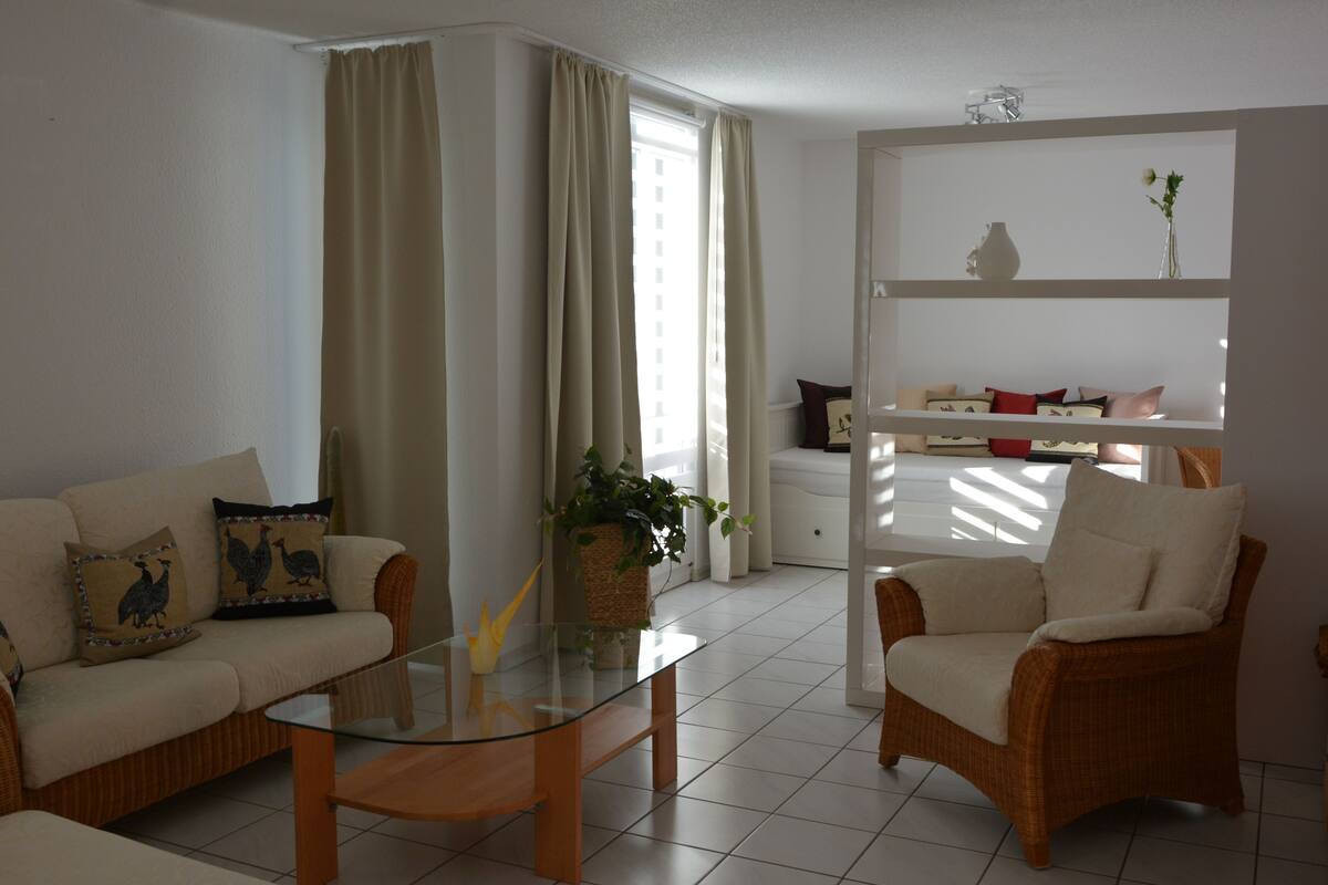 Habitacions insonoritzades, planxa i posts de planxar i wifi gratuïta 
