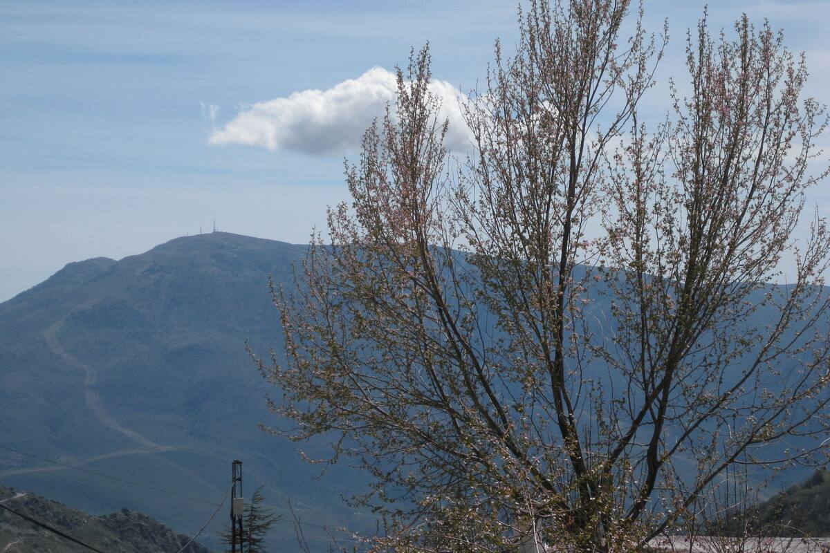 Vistas desde la habitación
