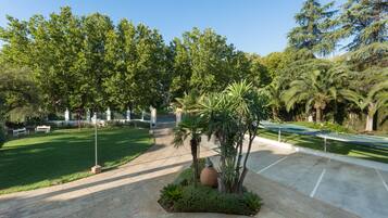 A well-maintained garden with a variety of trees and shrubs, a paved walkway, and a seating area with benches.