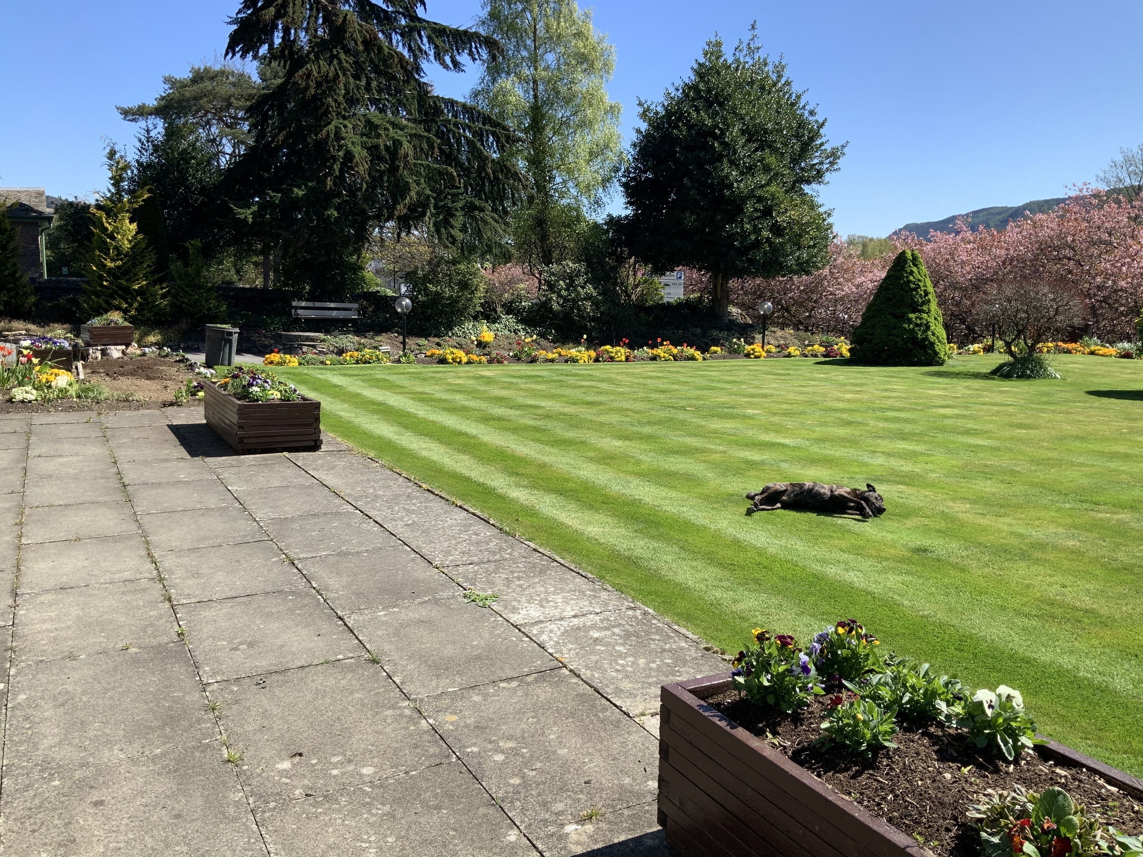A well-maintained garden with a lawn, flower beds, and a paved walkway.