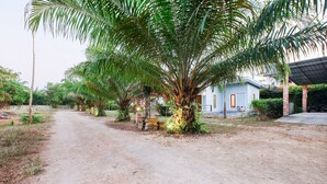 A dirt road leading to a small building with a blue door, surrounded by palm trees and greenery. - OYO 690 Bann Supansa Resort (Krabi)