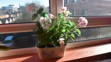 A potted plant with flowers on a windowsill.
