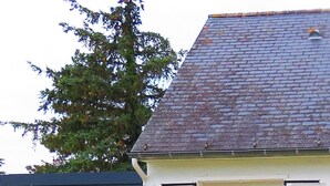 Een wit gebouw met een grijze dak, omgeven door een tuin met rode rozen en groene beplanting.