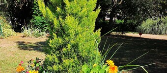 House near sea with large enclosed garden