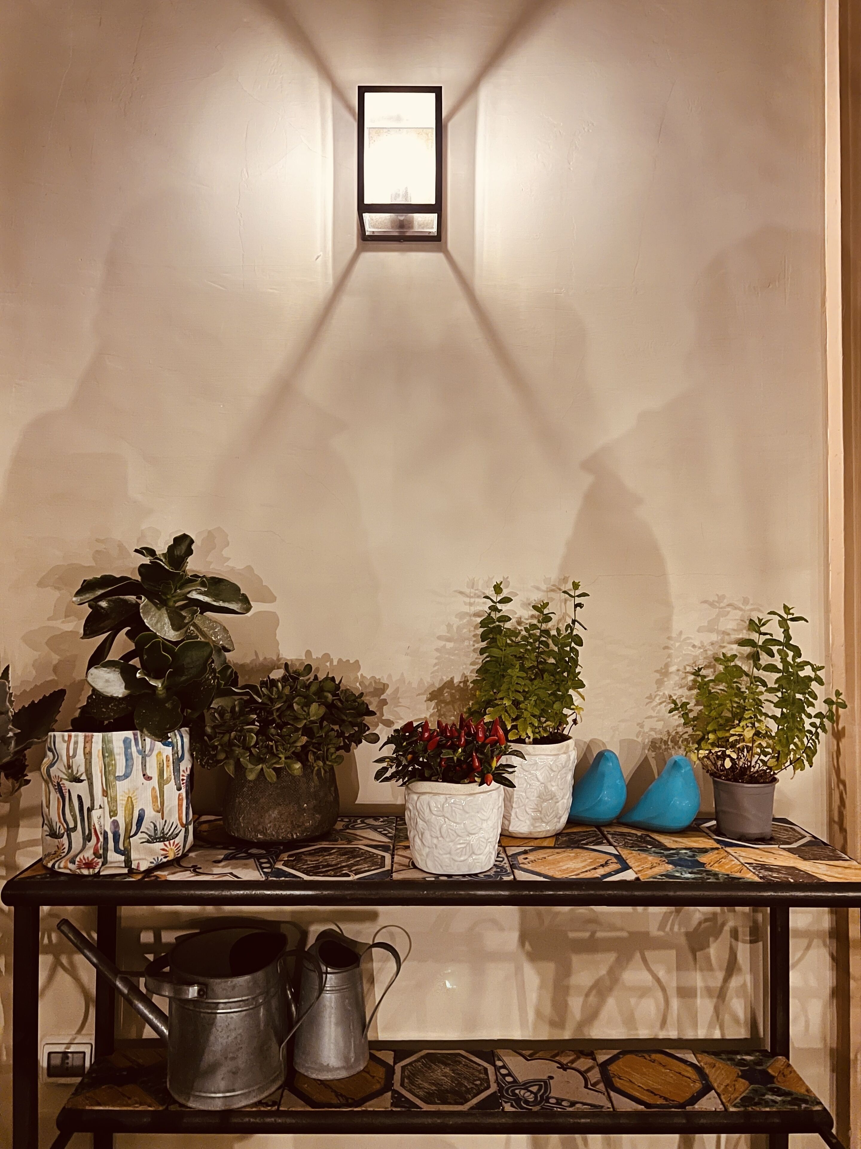 A room with a tiled floor, a small table with potted plants, a metal pot, and a wall-mounted light fixture.