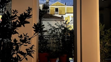 Vista desde la propiedad