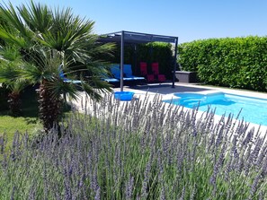 Un espace piscine agrémenté d’une pergola, de chaises longues et d’un jardin bien entretenu où l’on trouve de la lavande et des palmiers.