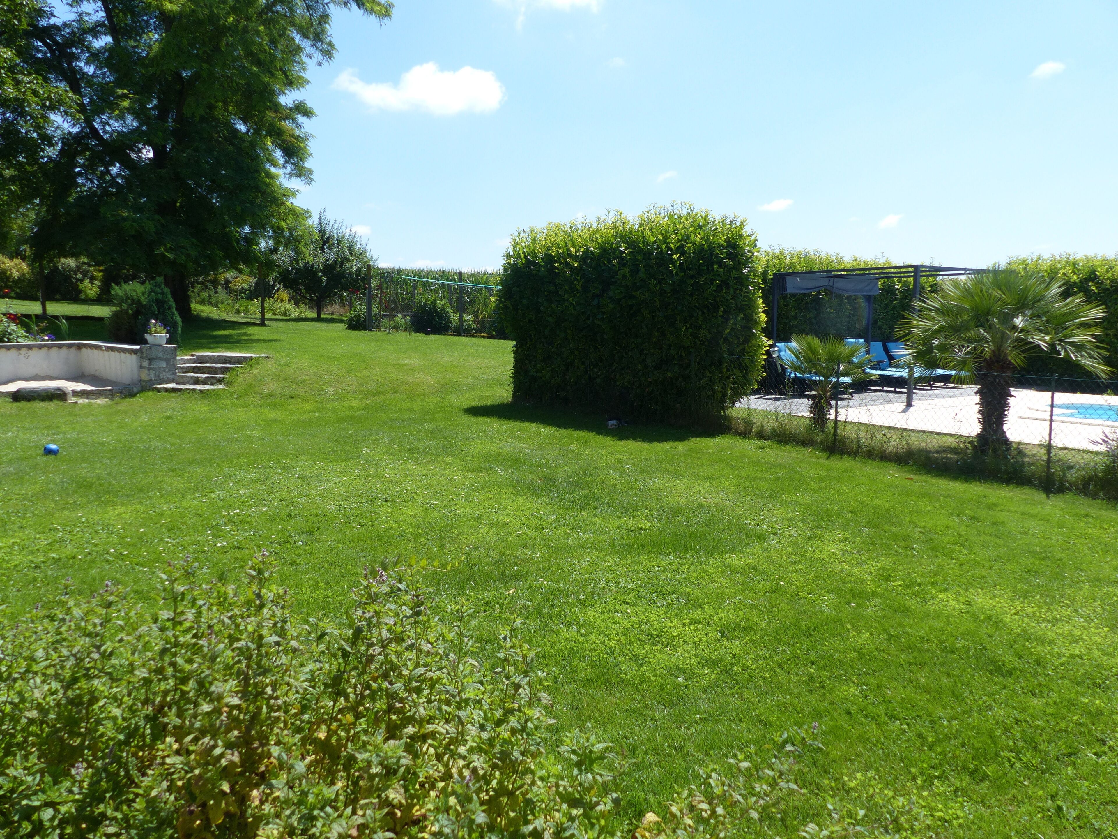 A well-maintained grassy area with a swimming pool, surrounded by trees and a hedge.