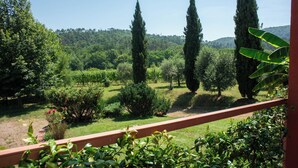 A garden with various trees and shrubs, a wooden fence, and a clear sky. - BRIGHT AND REFINED VILLA WITH POOL IMMERSED IN THE GREEN OF THE HILLS OF LUCCA (LUCCA)