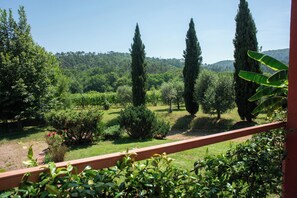 Property grounds - BRIGHT AND REFINED VILLA WITH POOL IMMERSED IN THE GREEN OF THE HILLS OF LUCCA (LUCCA)