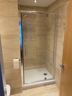 Combined shower/tub, hair dryer, towels, soap