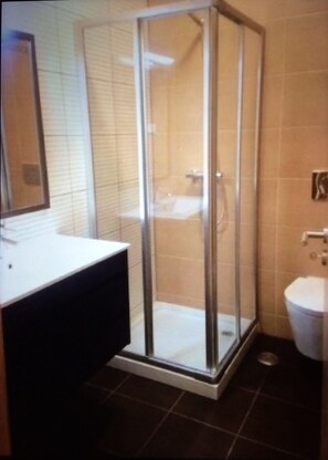 Bathtub, hair dryer, bidet, towels