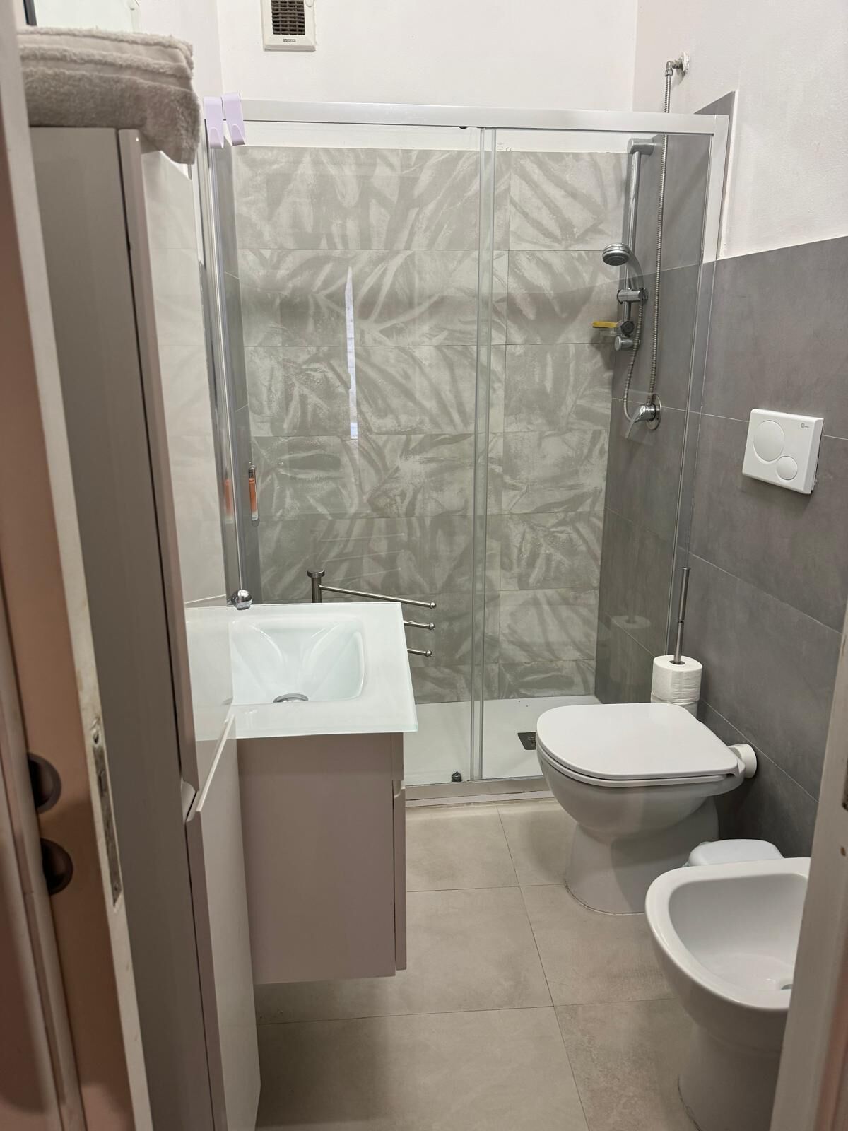 Shower, hair dryer, bidet, towels