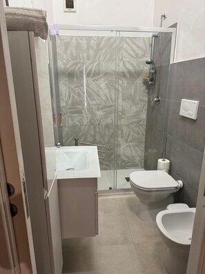 Shower, hair dryer, bidet, towels