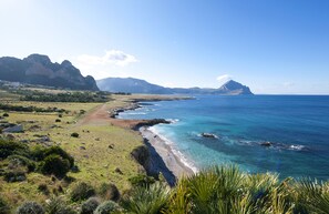 Sun-loungers, beach towels