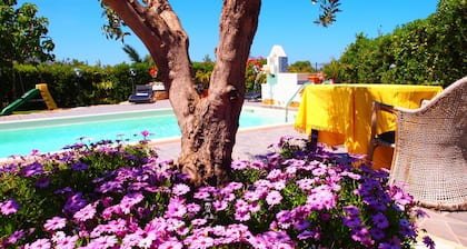 White Pearl Holiday House, PRIVATE POOL, FREE WI-FI, all the conforts